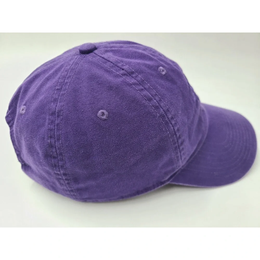 TCU Horned‎ Frogs Nike Heritage86 Dri-Fit Strapback Adjustable Hat Cap Men NCAA
